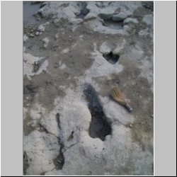 100_0328 (2009-25-07).JPG